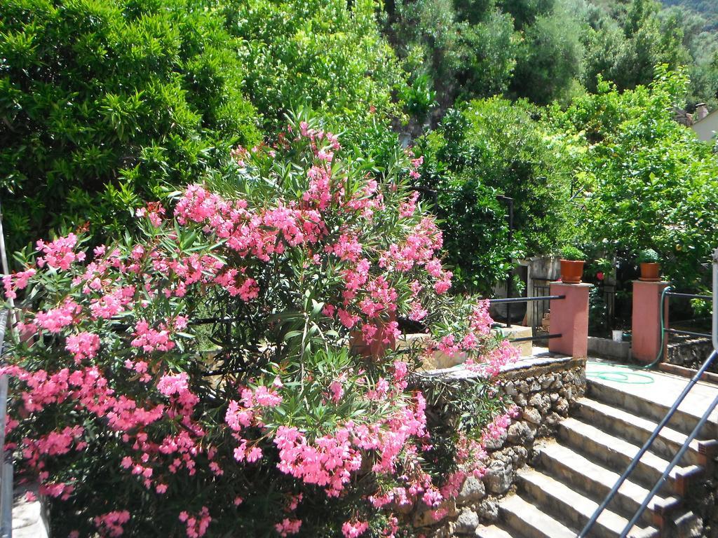 Appartement Dimitris