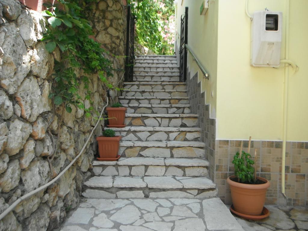 Dimitris *