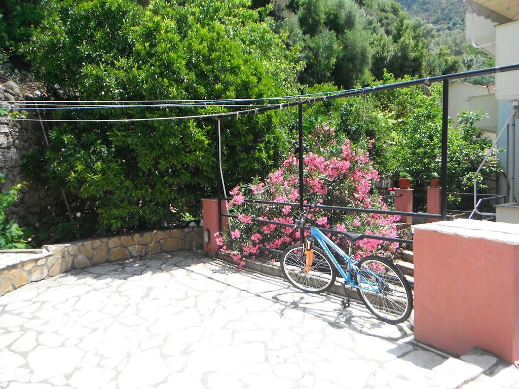 Dimitris
