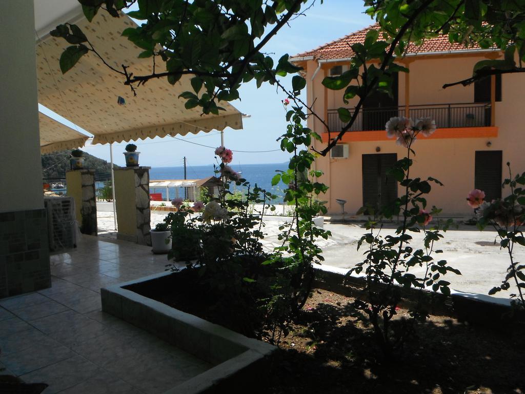 Dimitris *