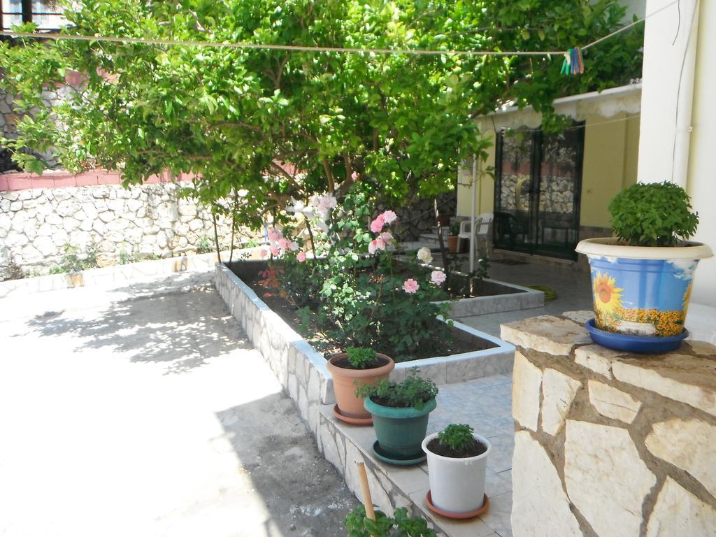 Dimitris Vasilikí